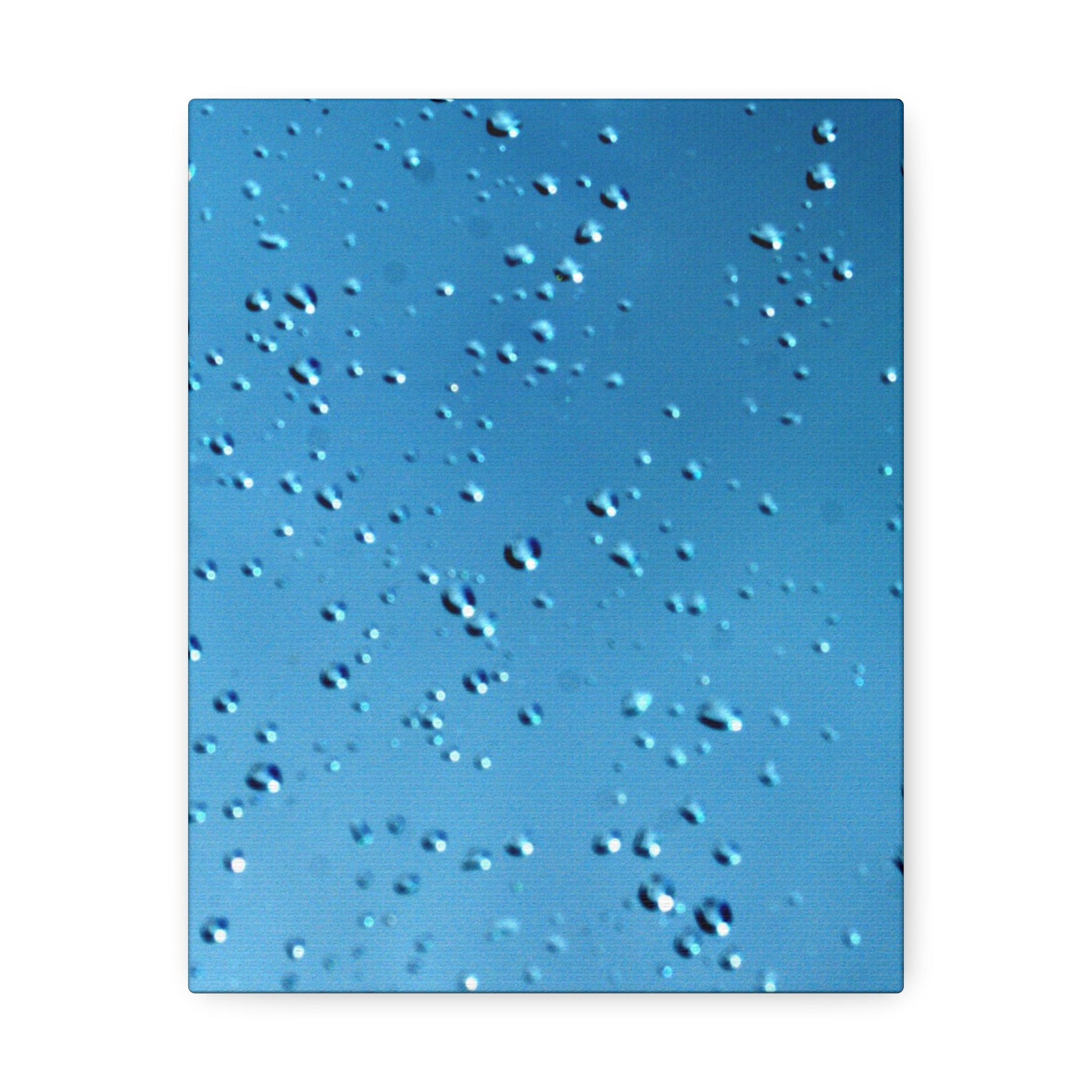 Nature Noticed Blue Raindrops stretched canvas print