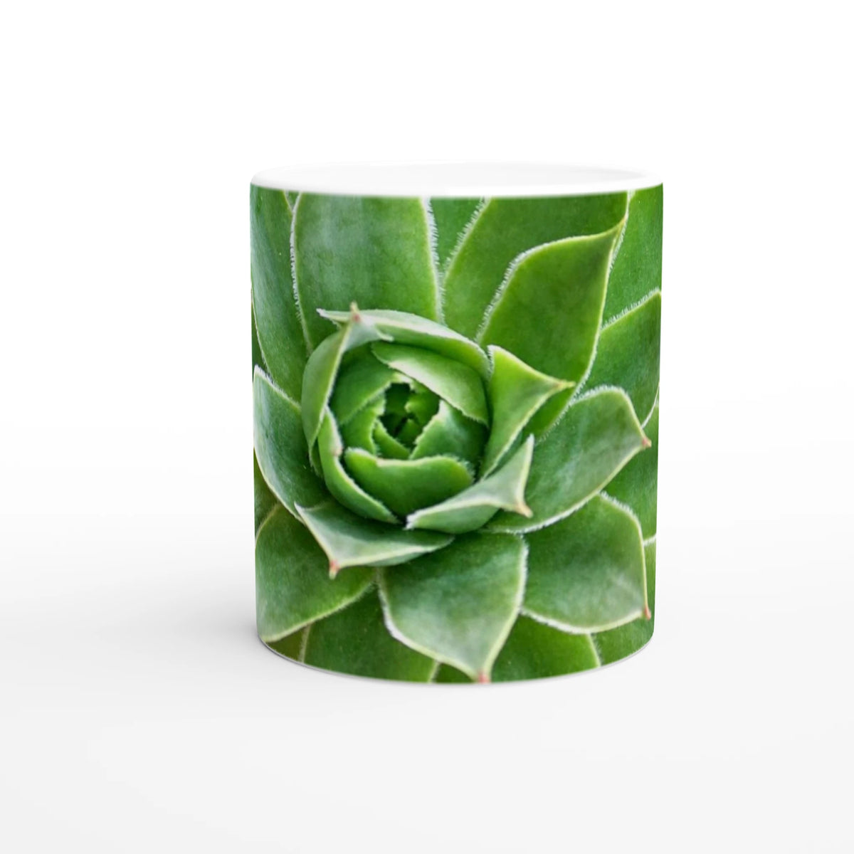 Green Echeveria succulent nature photography mug — Nature Noticed product mockup