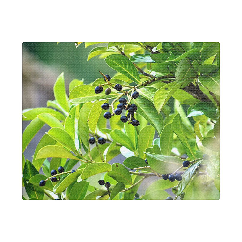 Nature Study original nature photography satin stretched canvas