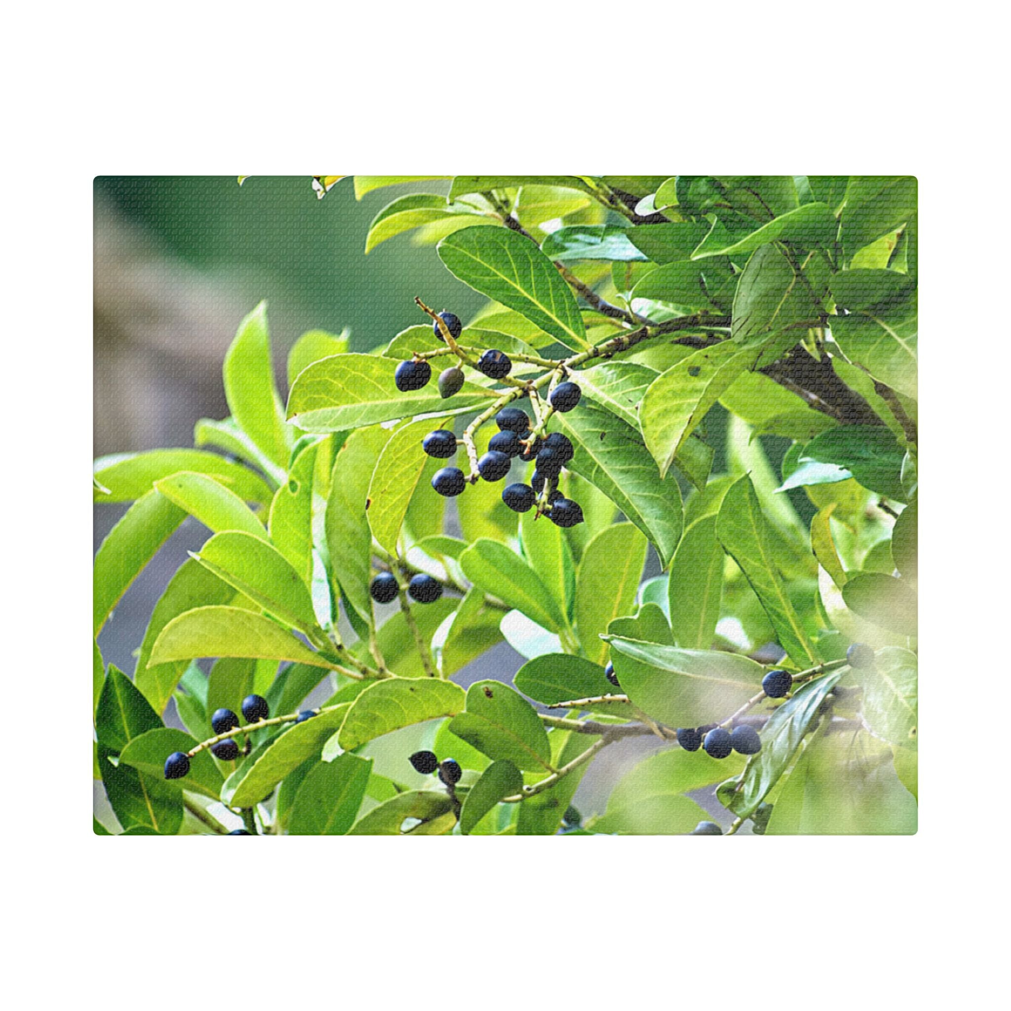Nature Study original nature photography satin stretched canvas