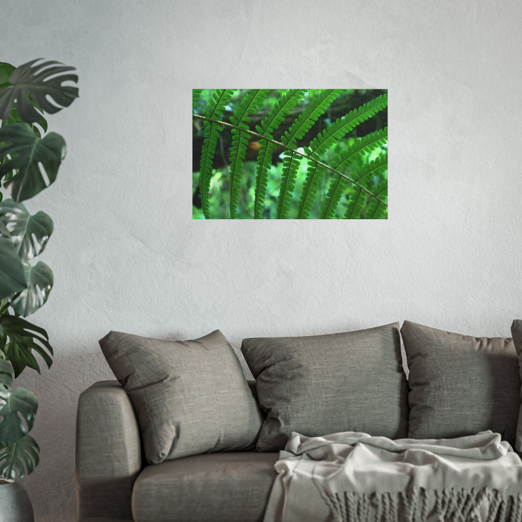 Green Fern Fine Art Poster — Original Botanical Photography