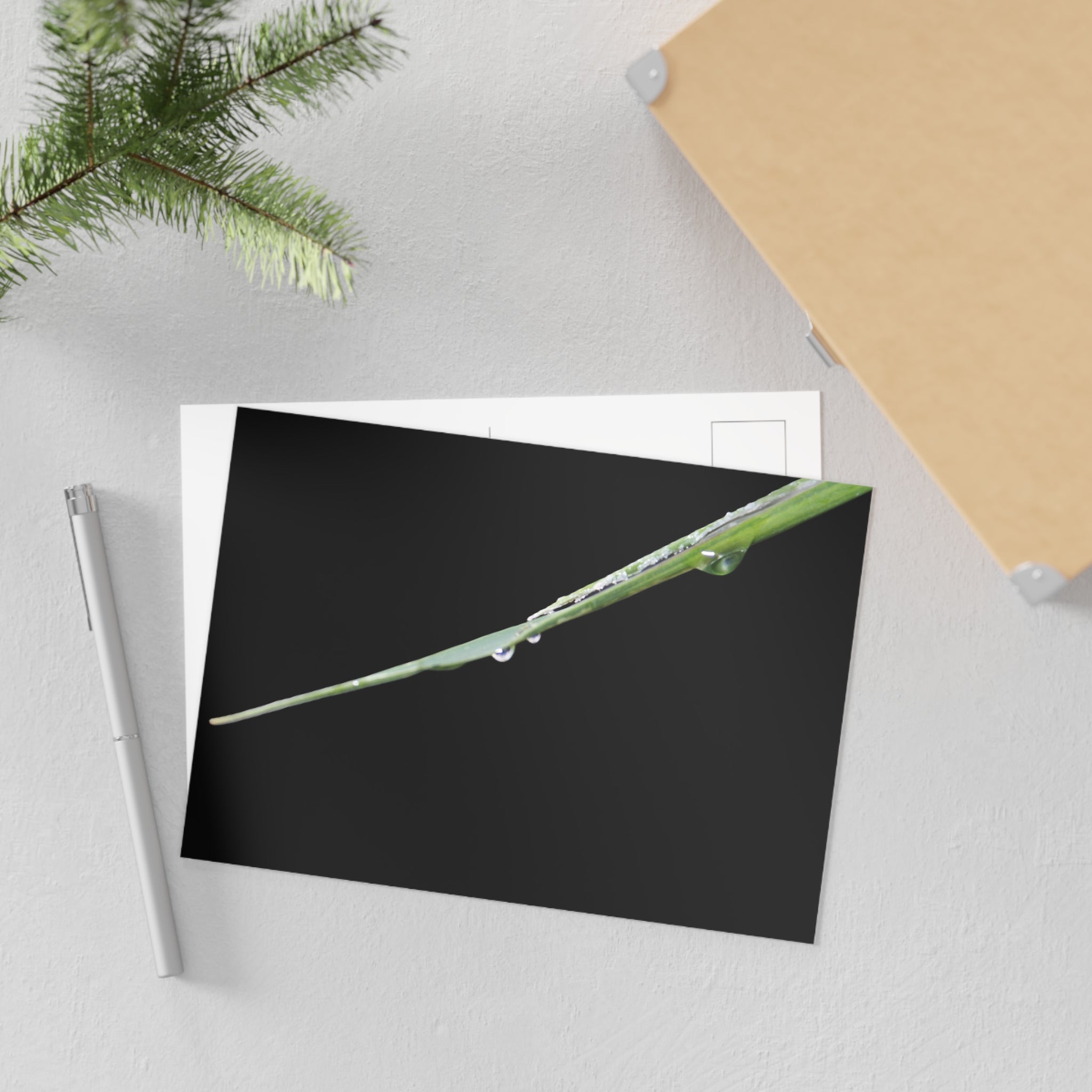Dewdrop Blade Fine Art Post Card