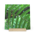 Green Fern botanical photography gallery board with oak stand