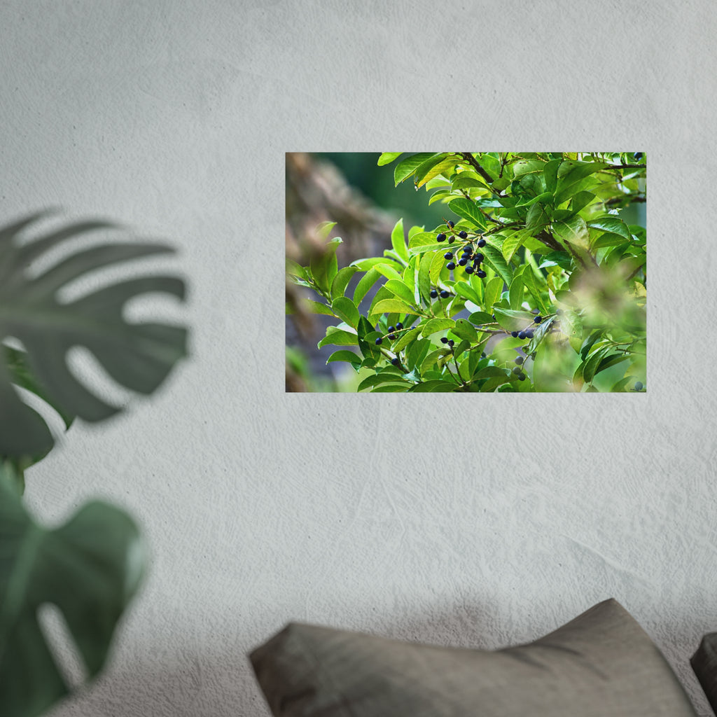 Nature Study Fine Art Poster — Original Botanical Photography
