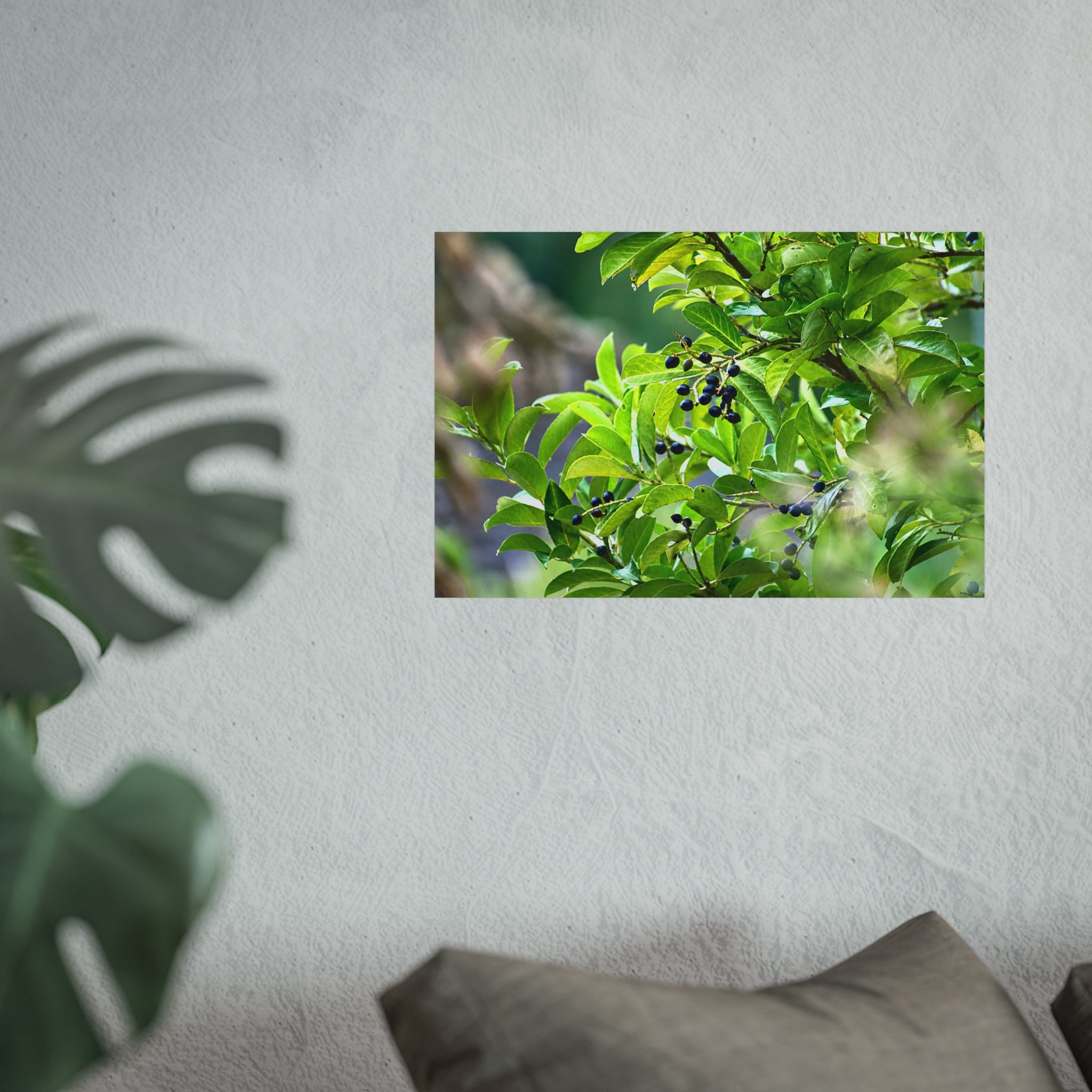 Nature Study Fine Art Poster — Original Botanical Photography