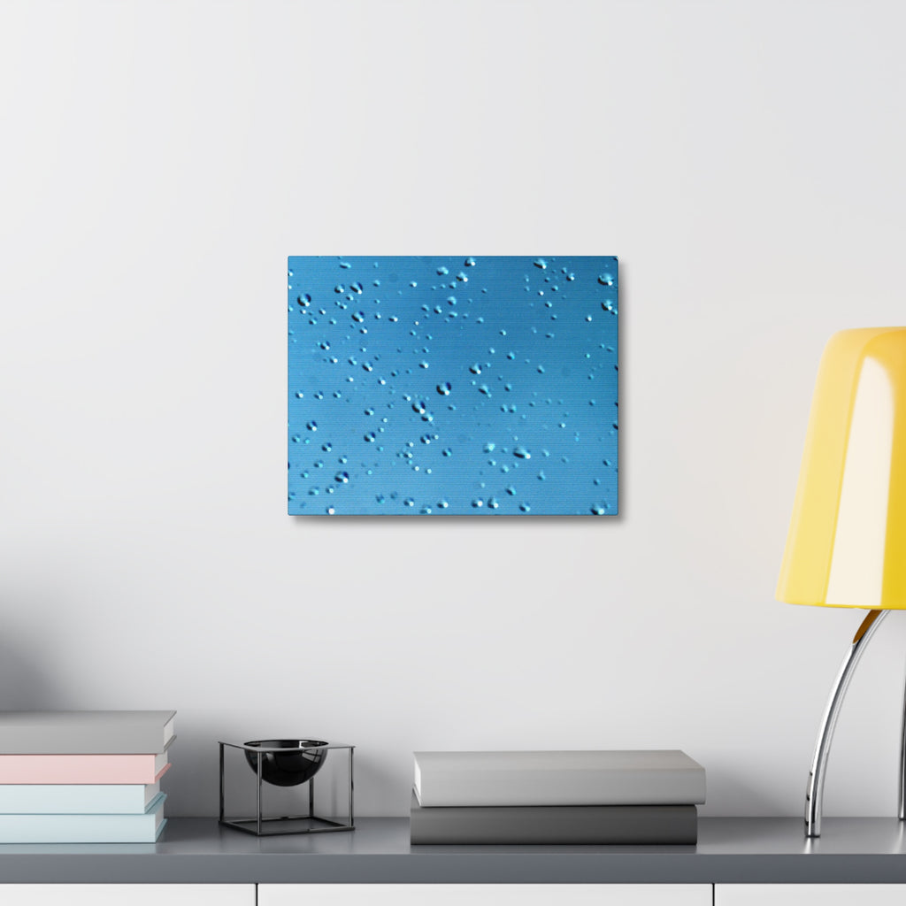 Blue Raindrops Stretched Canvas — Original Nature Photography