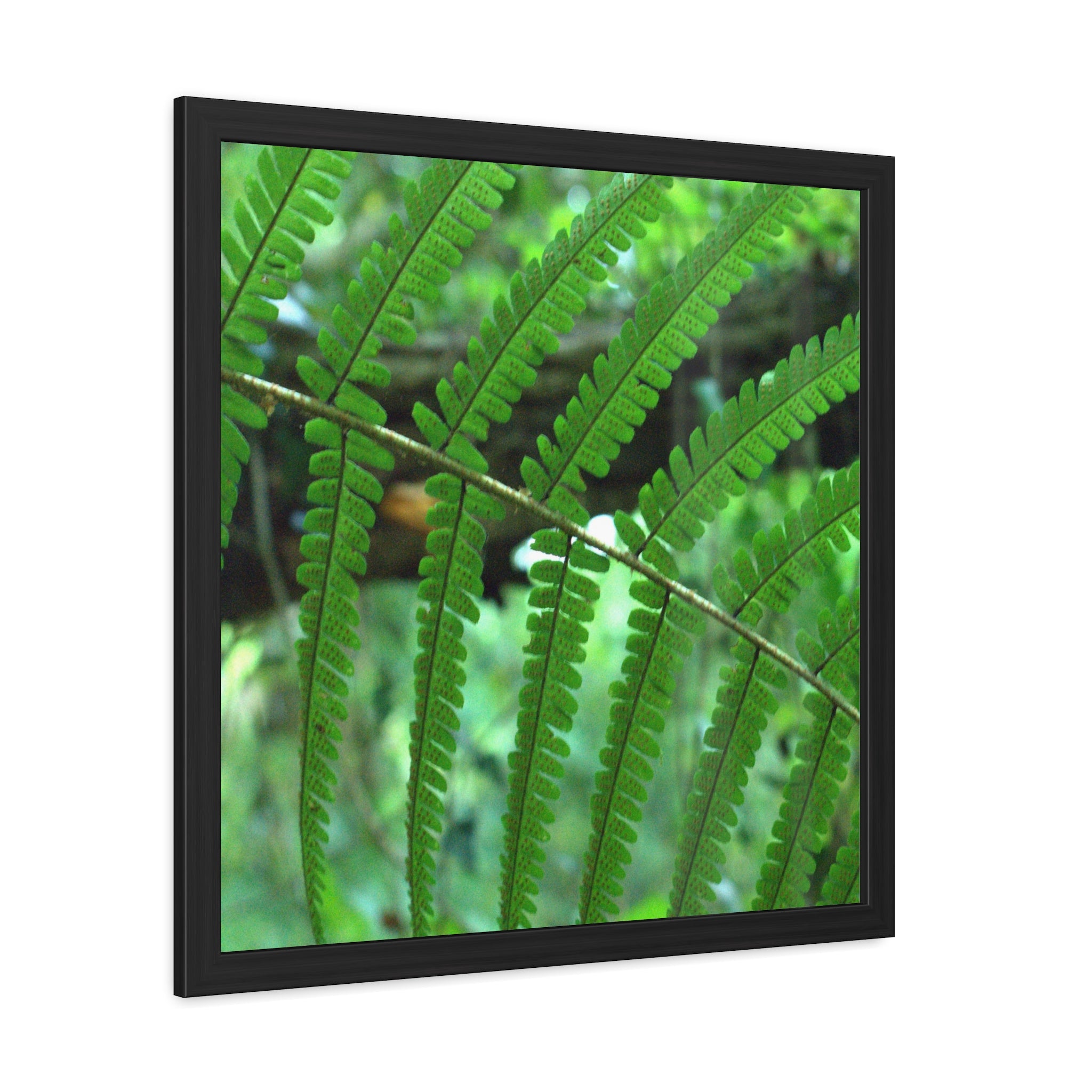 Alternate view of Green Fern Framed Poster