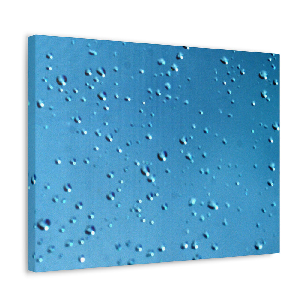 Blue Raindrops Stretched Canvas — Original Nature Photography
