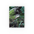 Mossy Woodland hardback journal featuring original forest photography