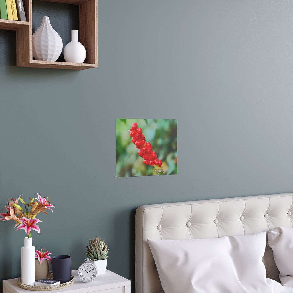 Red berry botanical nature photography silk poster — Nature Noticed