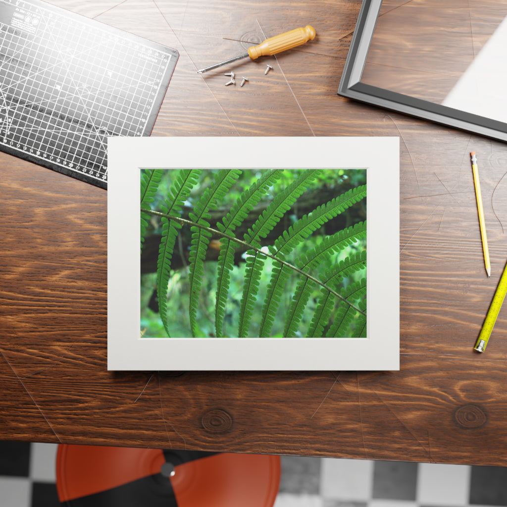 Green Fern Passepartout Fine Art Print — Original Botanical Photography