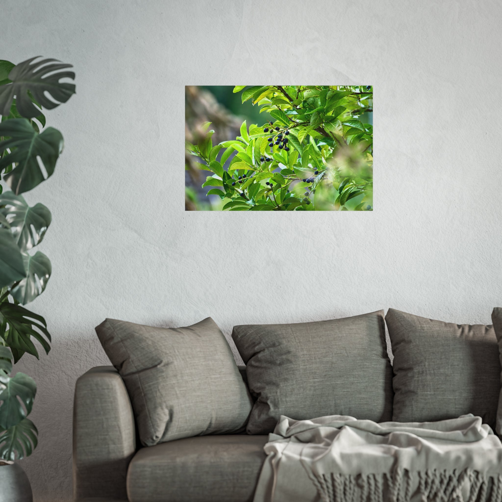 Nature Study Fine Art Poster — Original Botanical Photography