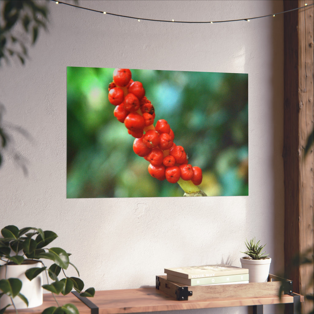 Scarlet Berries Fine Art Poster — Original Botanical Photography