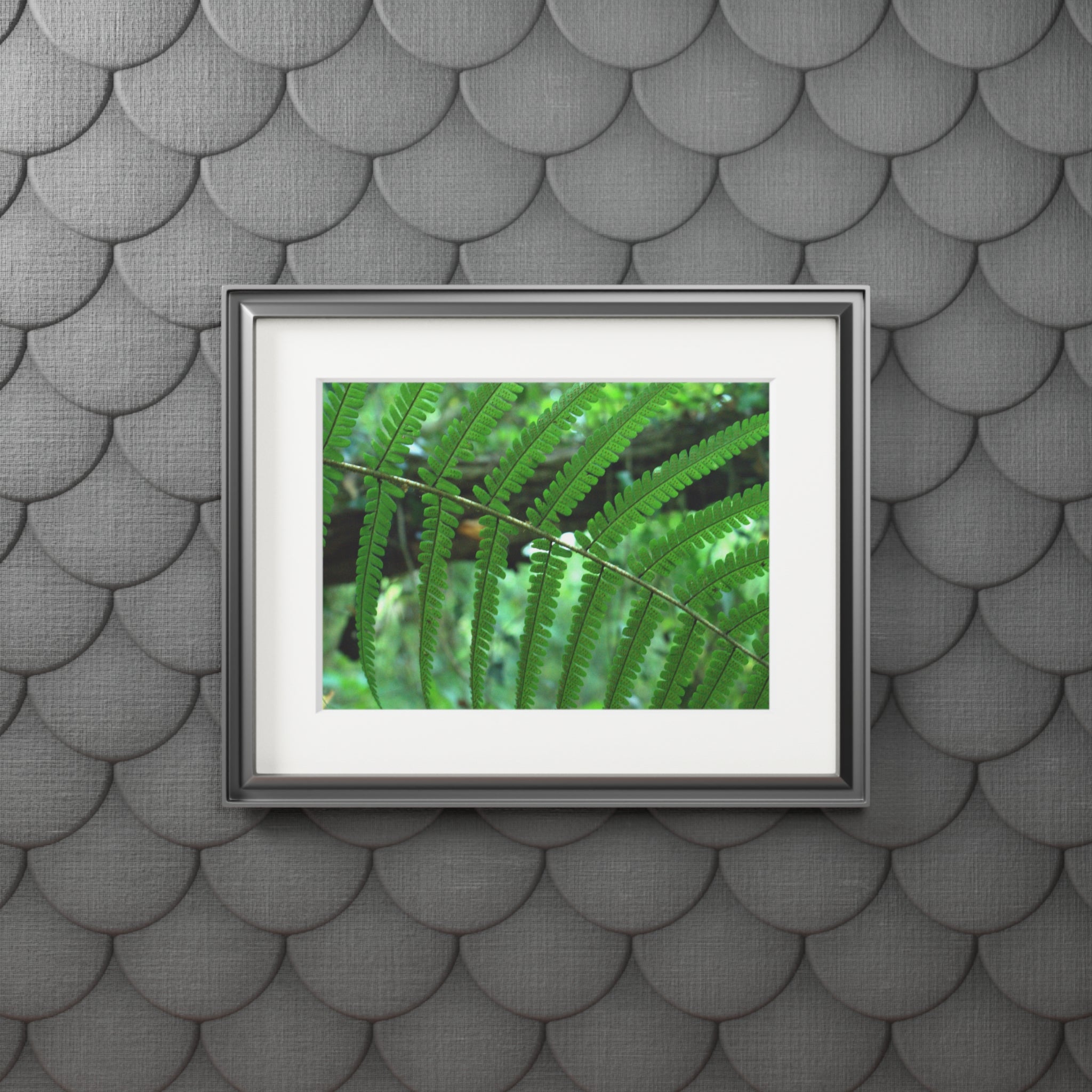 Green Fern Passepartout Fine Art Print — Original Botanical Photography