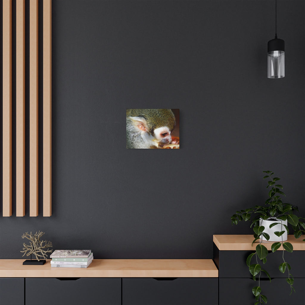 Wild Landscape Satin Stretched Canvas — Original Nature Photography