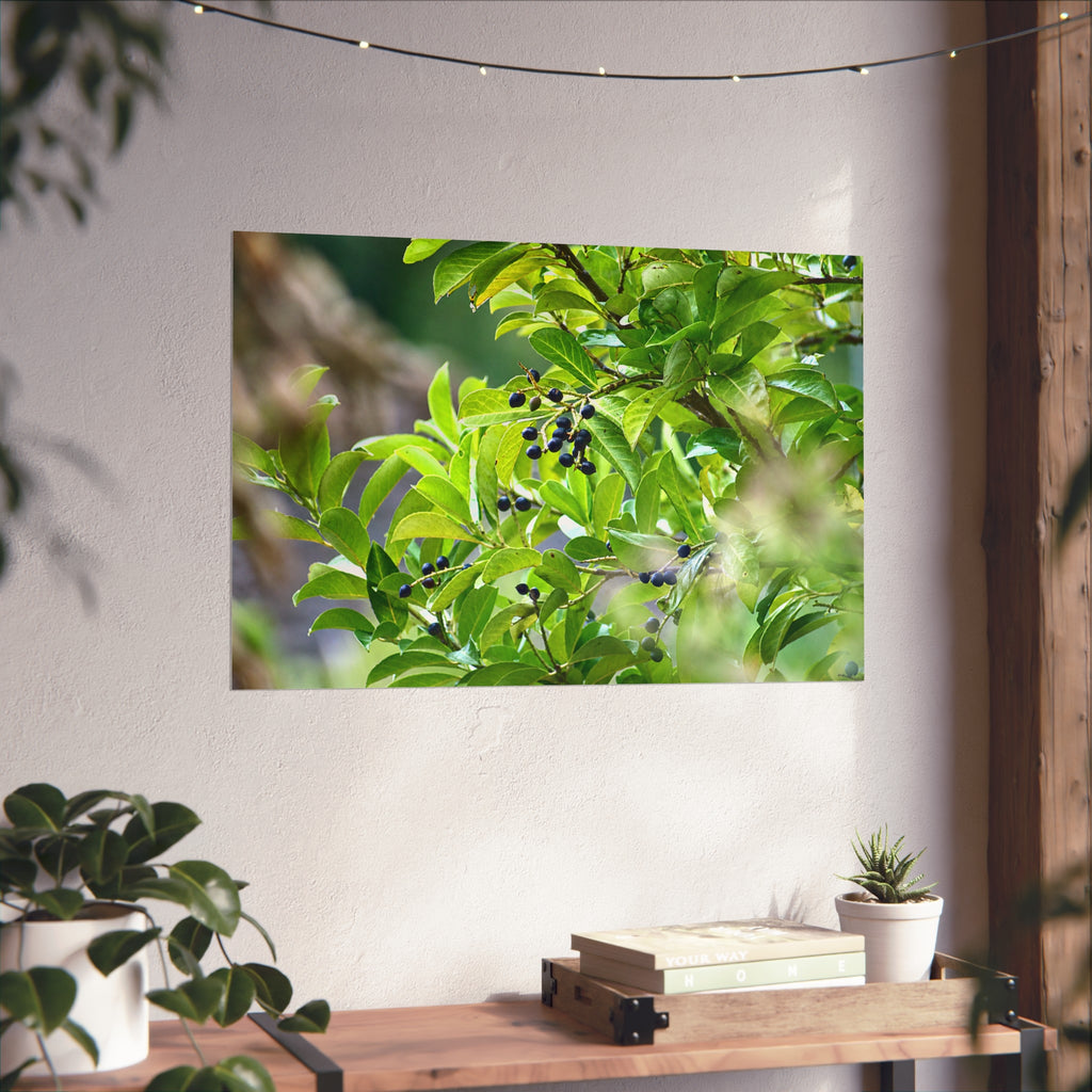 Nature Study Fine Art Poster — Original Botanical Photography