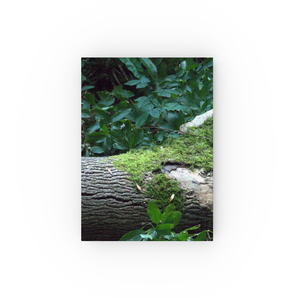 Alternate view of Mossy Woodland Hardback Journal