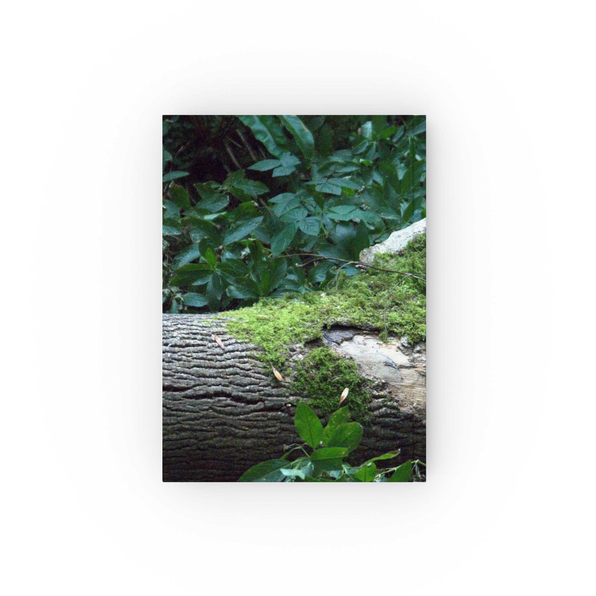 Alternate view of Mossy Woodland Hardback Journal