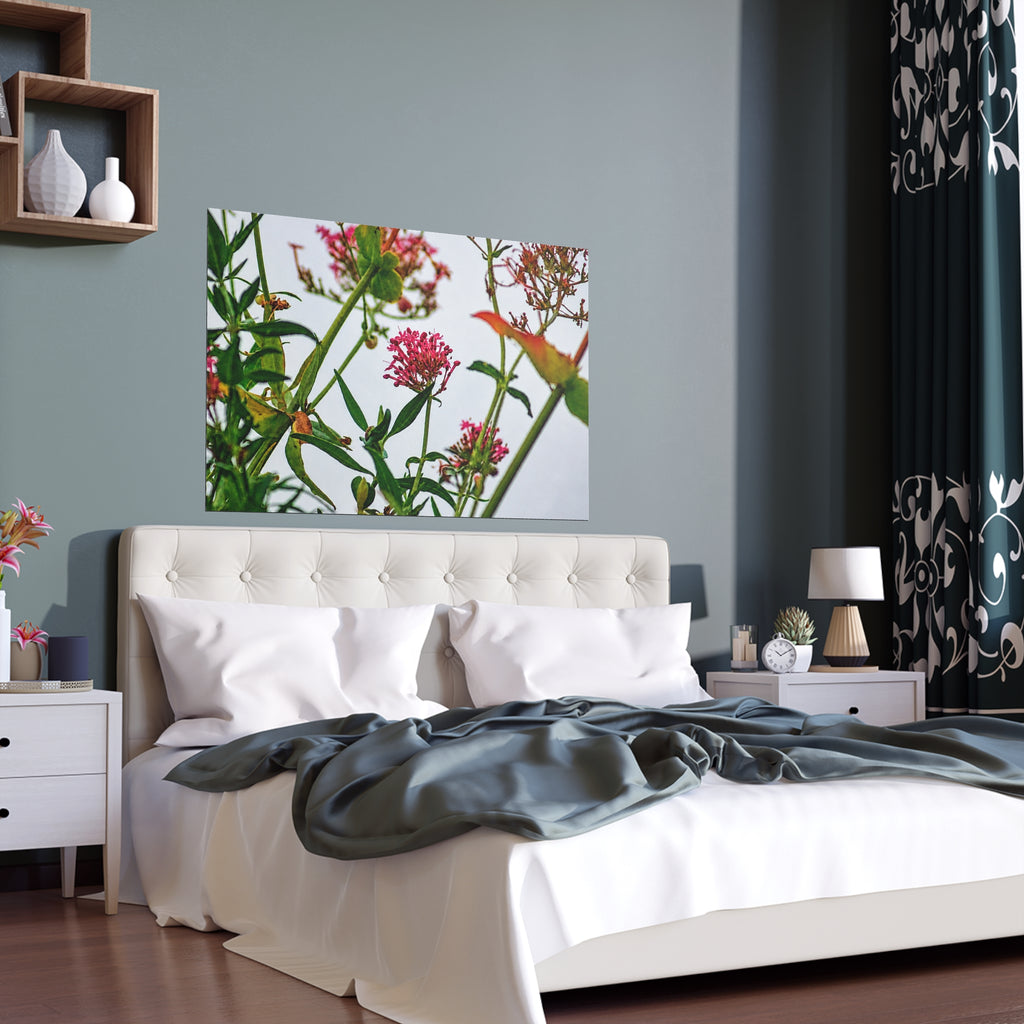 Pink wildflower nature photography silk poster — Nature Noticed