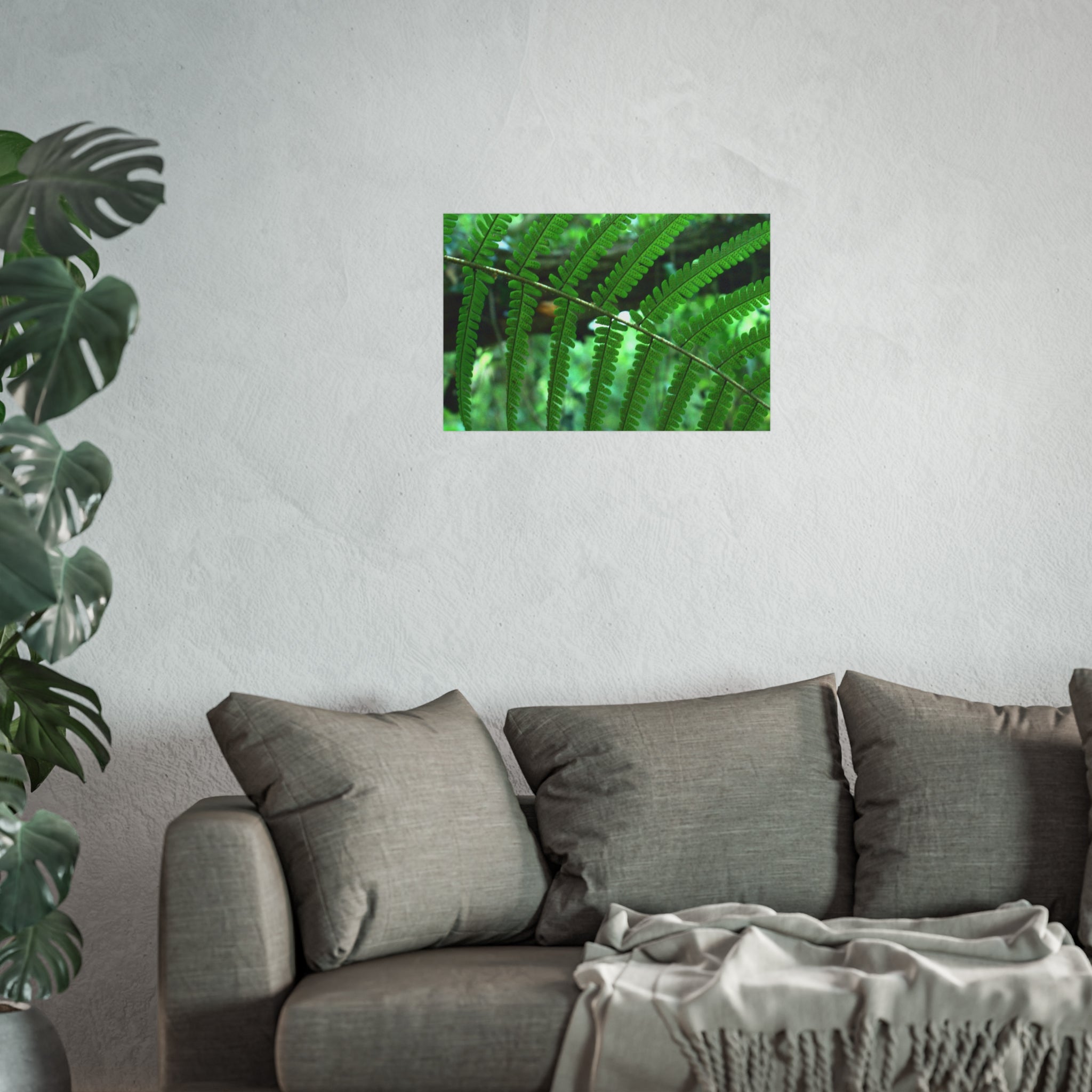 Green Fern Fine Art Poster — Original Botanical Photography