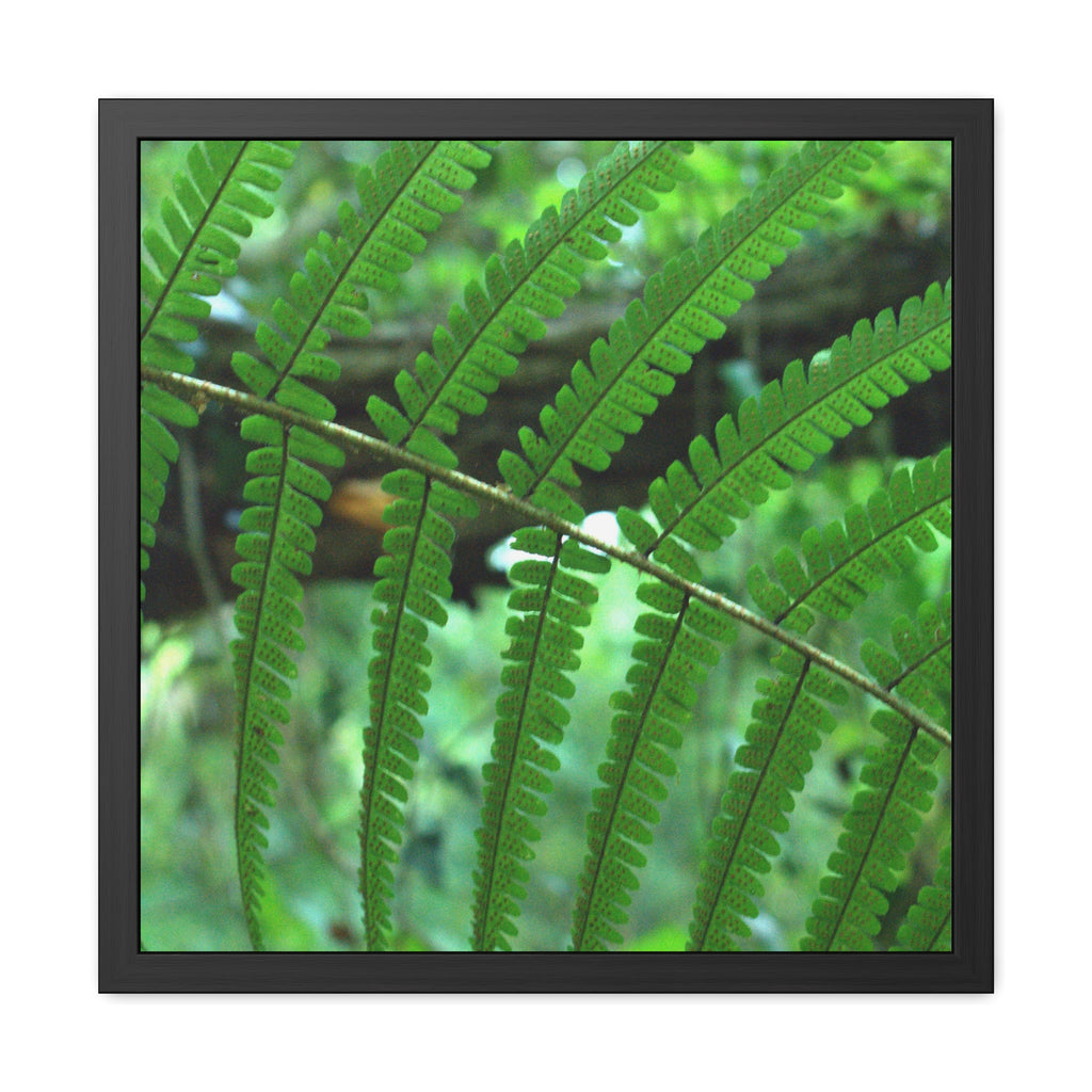 Green fern framed botanical photography poster