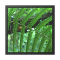 Green fern framed botanical photography poster