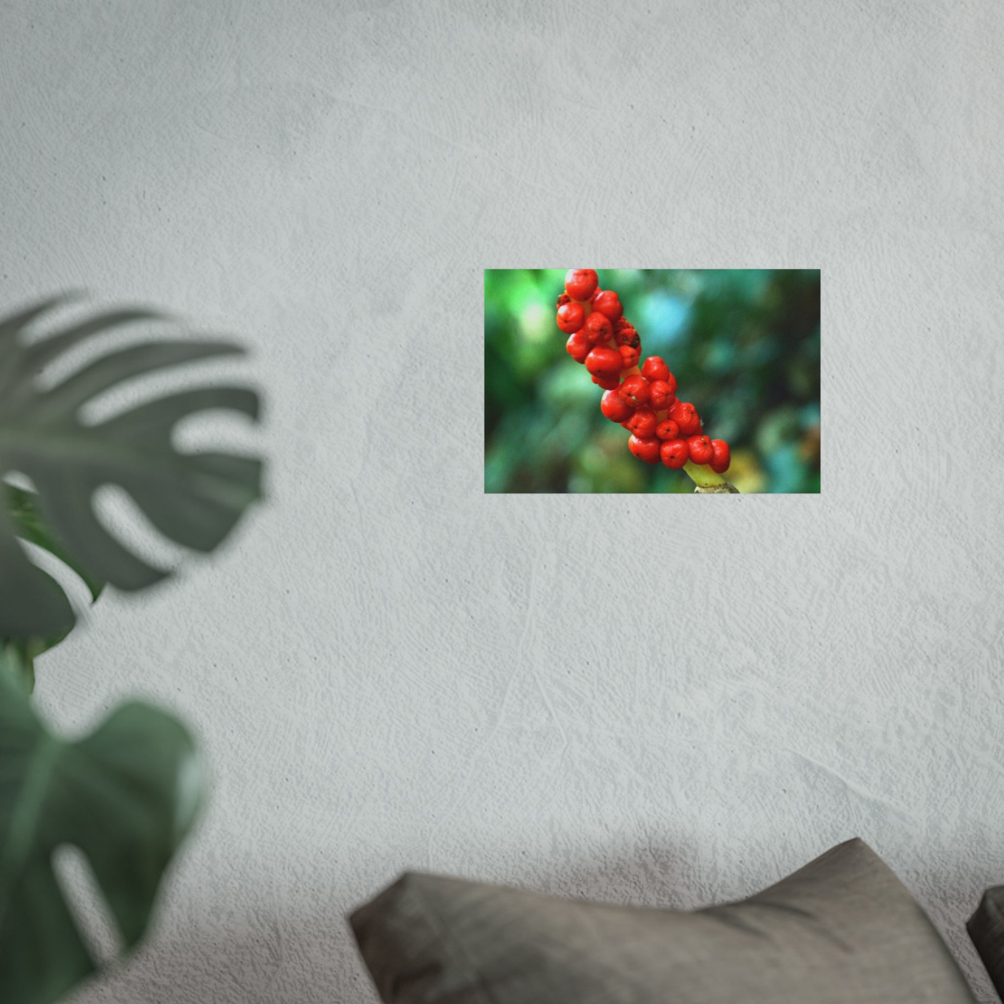 Scarlet Berries Fine Art Poster — Original Botanical Photography