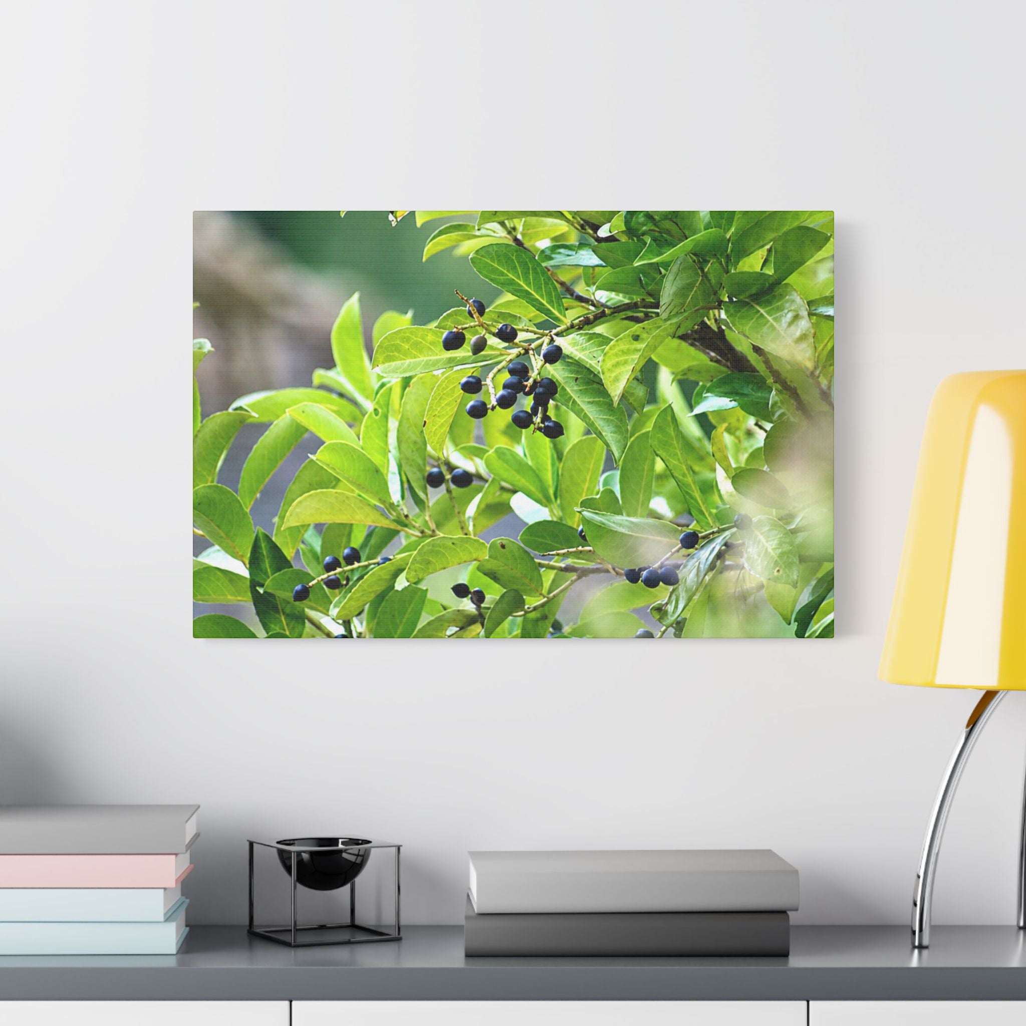 Nature Study Satin Stretched Canvas — Original Nature Photography
