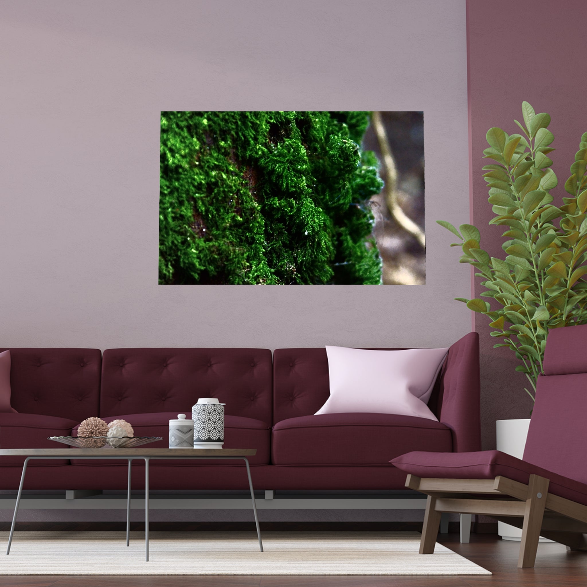 Moss close-up nature photography silk poster — Nature Noticed