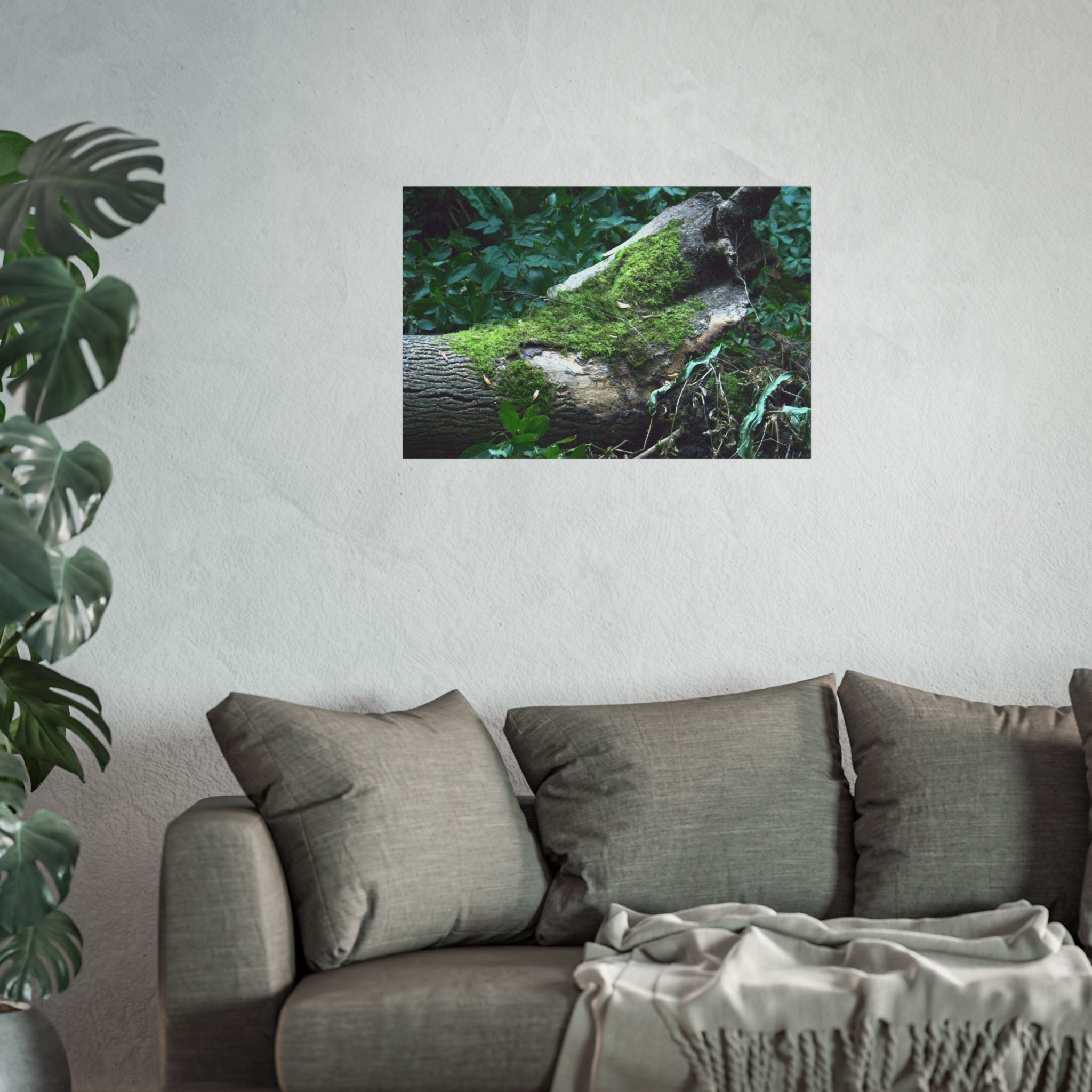 Mossy Woodland Fine Art Poster — Original Forest Photography
