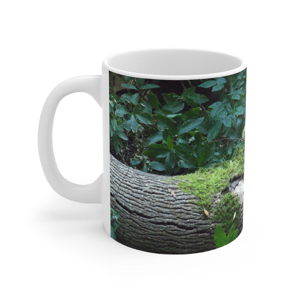 Moss-covered woodland tree photograph printed on an 11 oz white ceramic mug