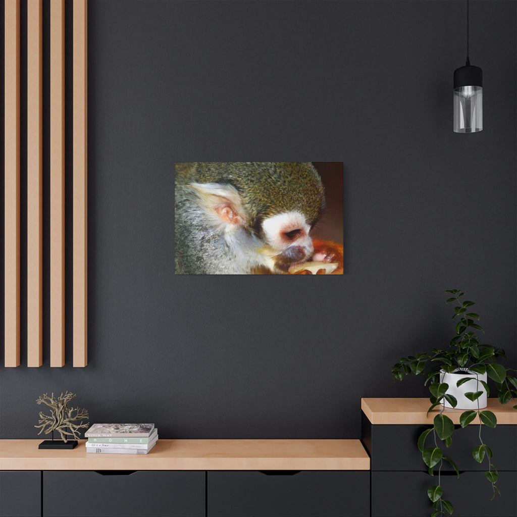 Wild Landscape Satin Stretched Canvas — Original Nature Photography