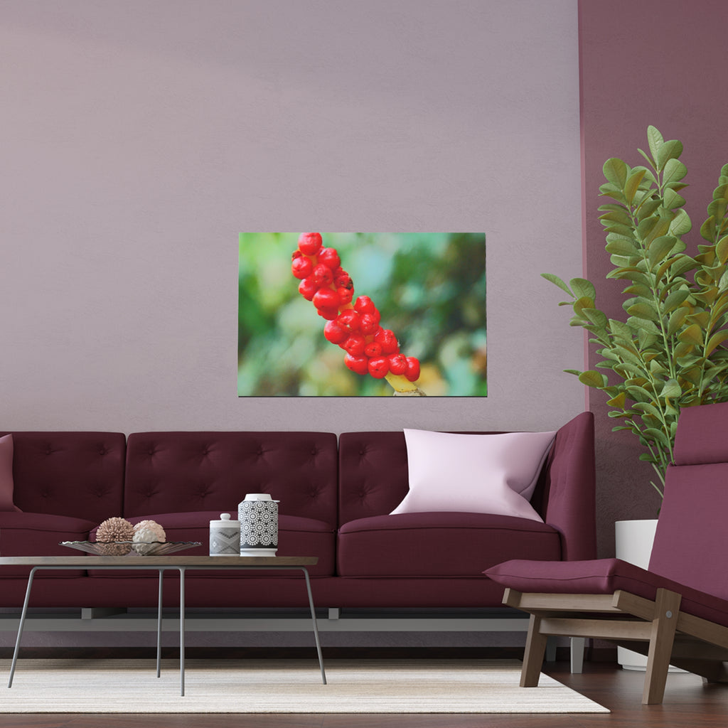 Red berry botanical nature photography silk poster — Nature Noticed