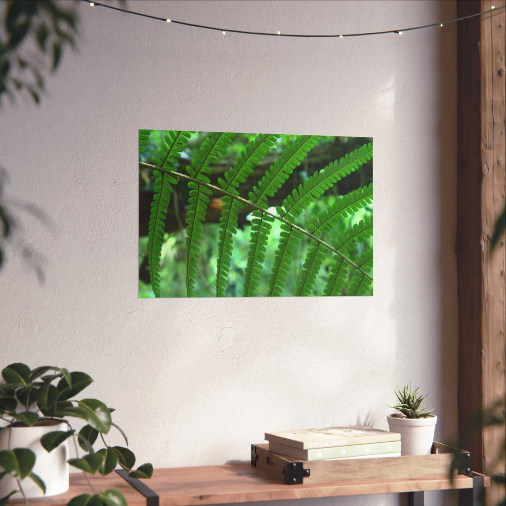 Green Fern Fine Art Poster — Original Botanical Photography