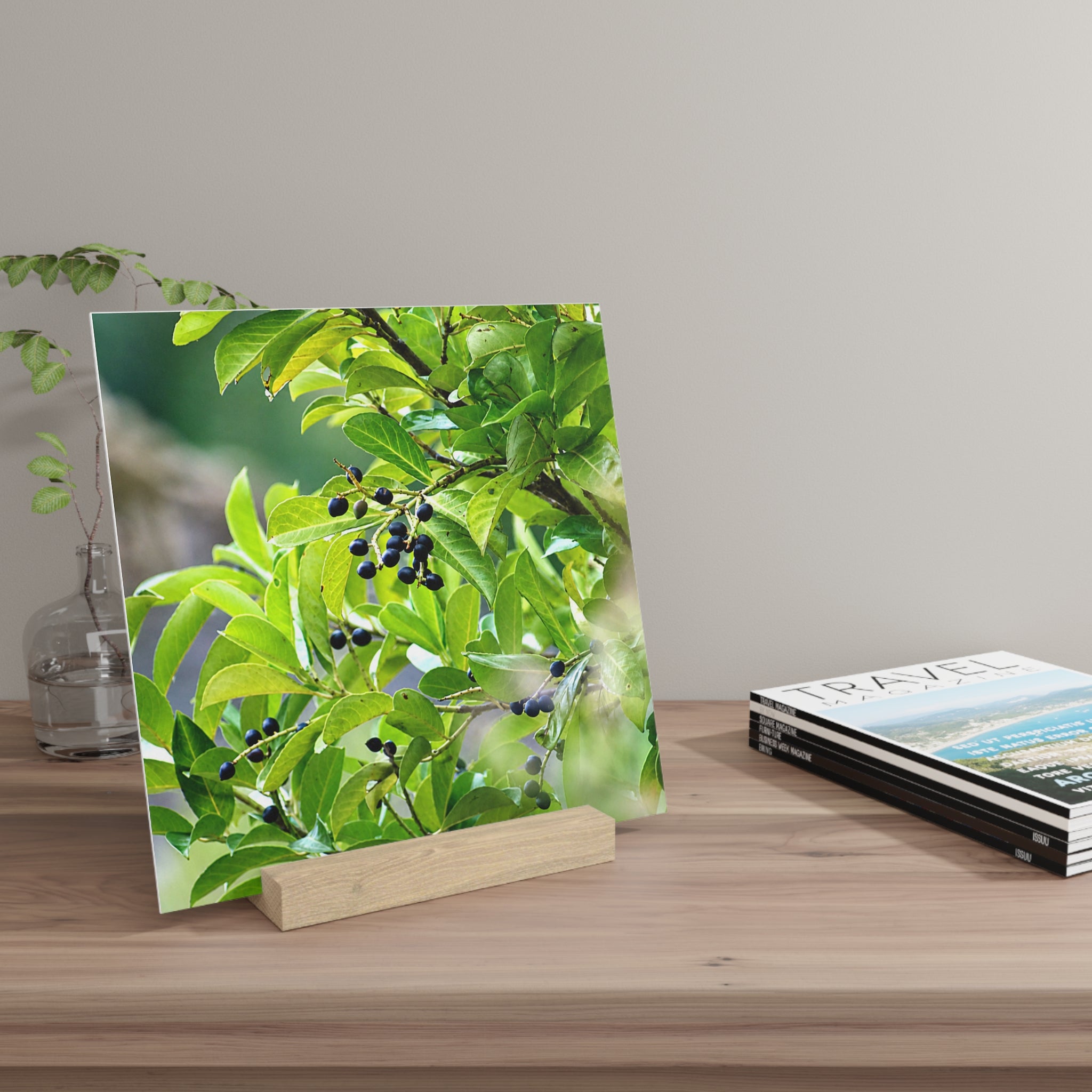 Nature Study Gallery Board with Oak Stand — Original Nature Photography