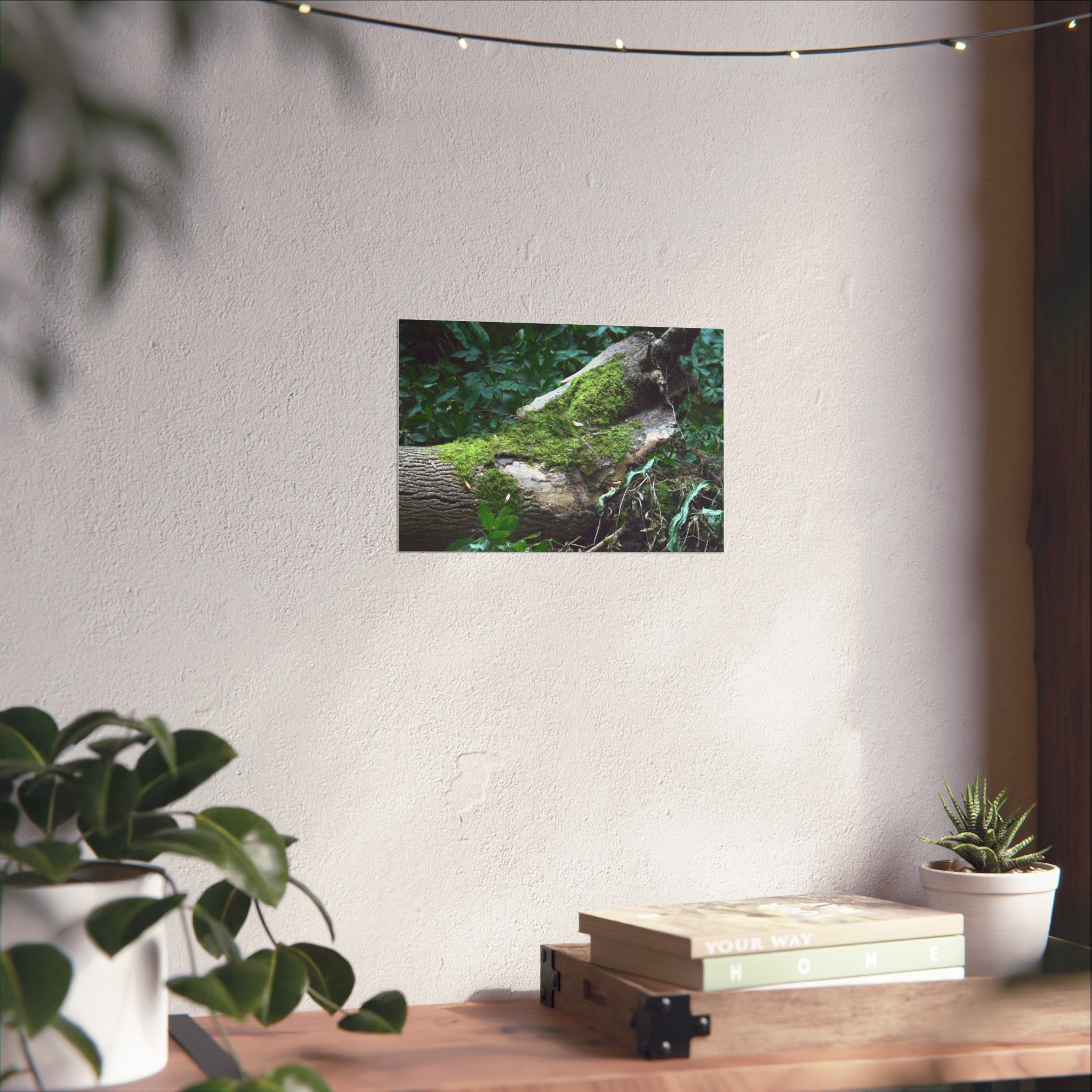 Mossy Woodland Fine Art Poster — Original Forest Photography