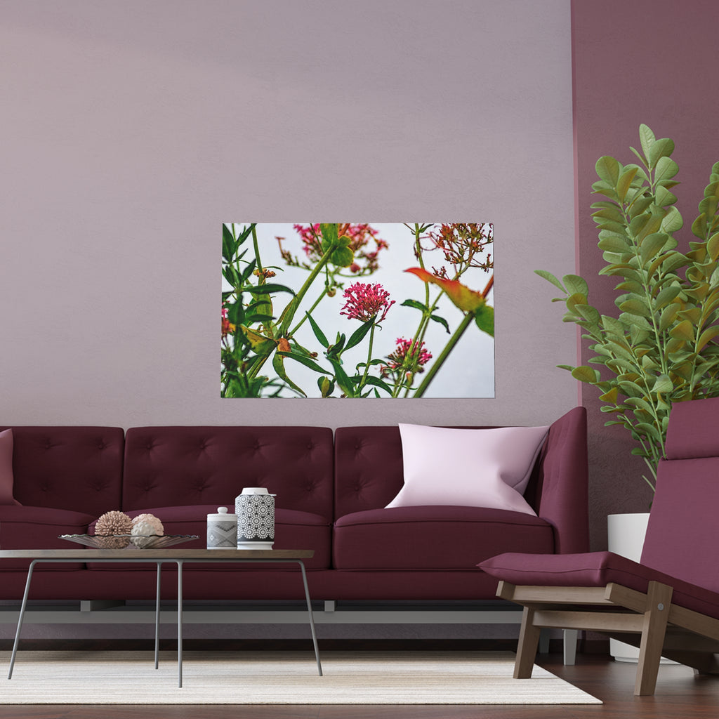 Pink wildflower nature photography silk poster — Nature Noticed