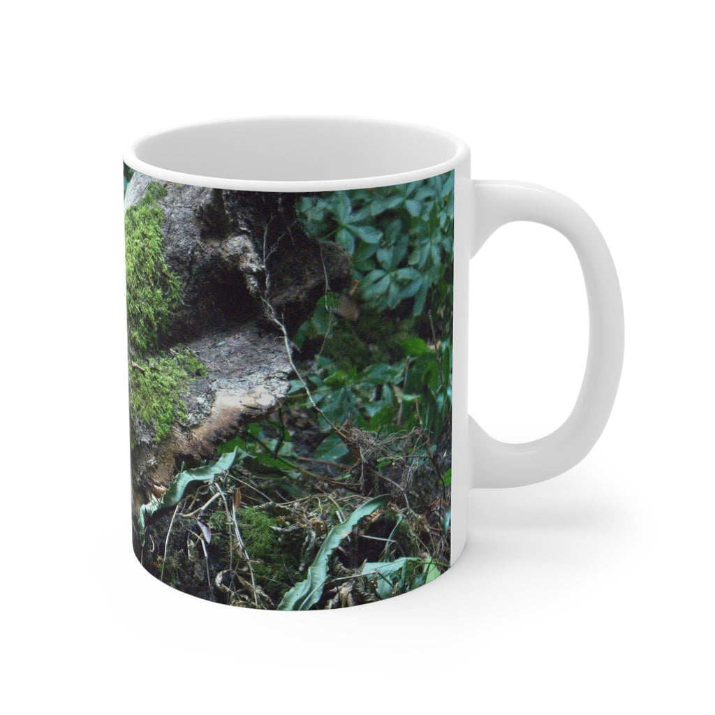 Mossy Woodland 11oz Mug — Original Forest Photography