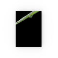 Woodland Detail hardback journal featuring original nature photography