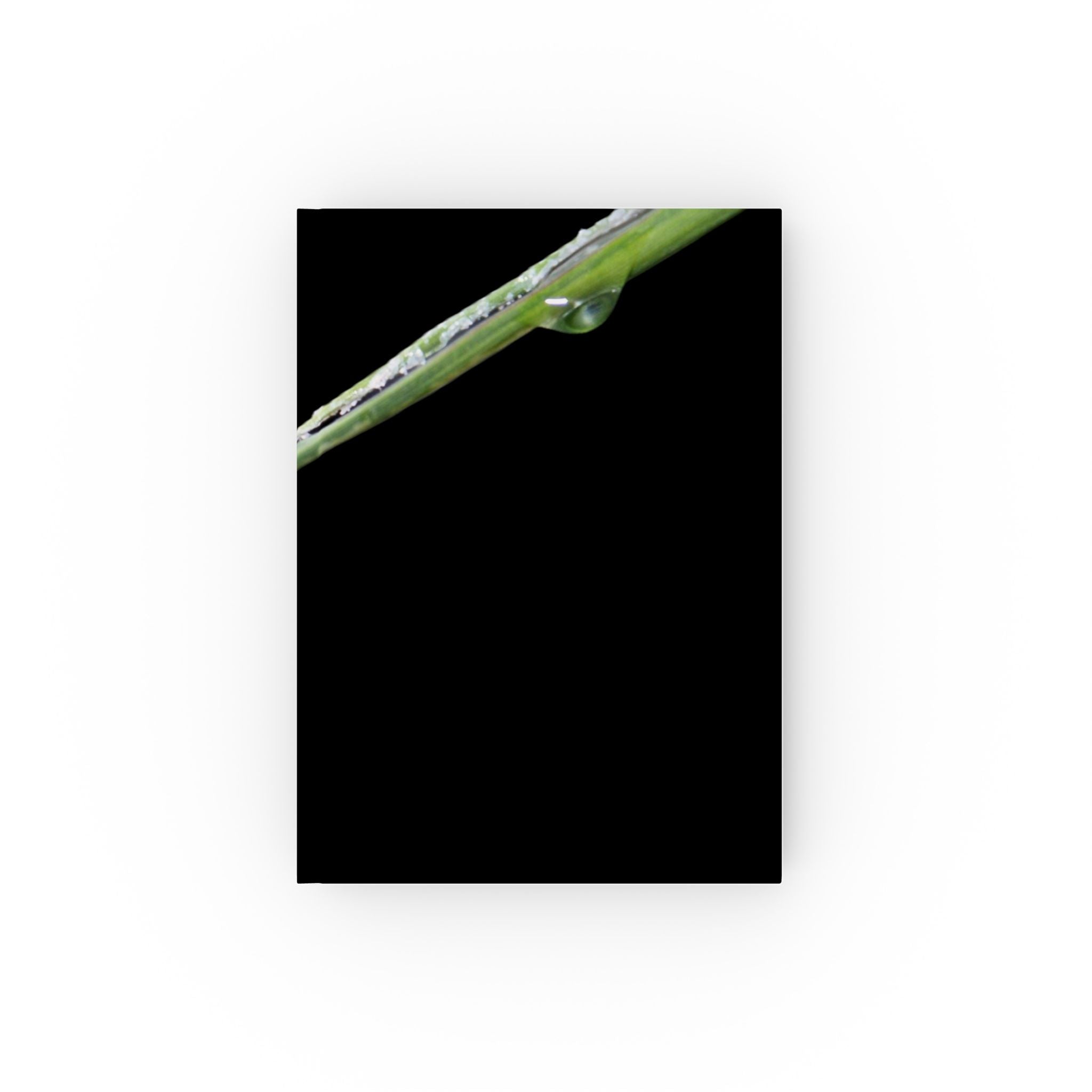 Woodland Detail hardback journal featuring original nature photography