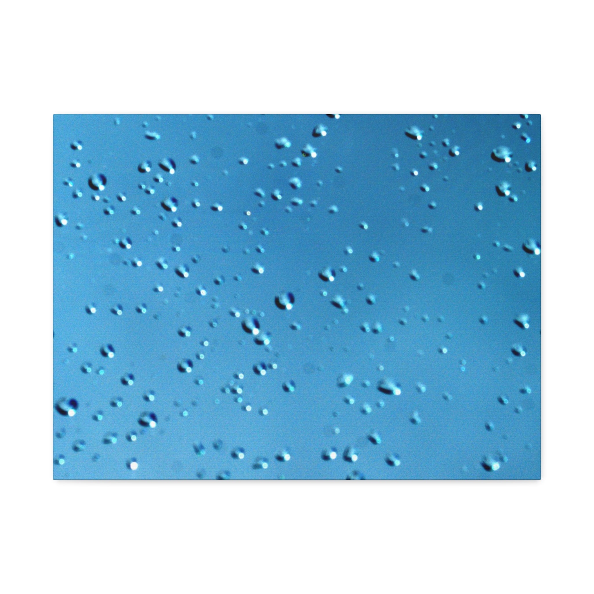 Blue Raindrops Stretched Canvas — Original Nature Photography