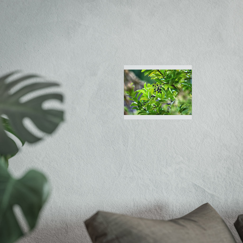 Nature Study Fine Art Poster — Original Botanical Photography