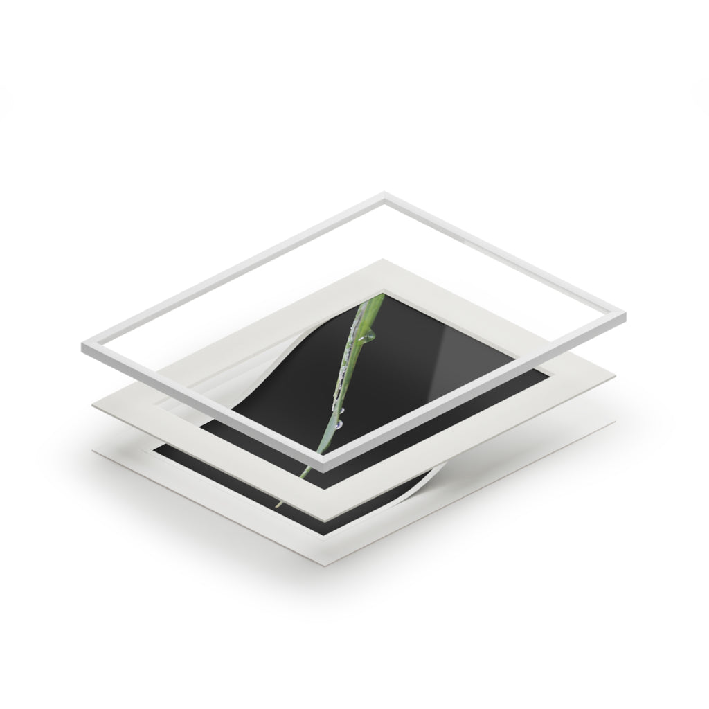 Alternate view of Woodland Detail Mounted Fine Art Print