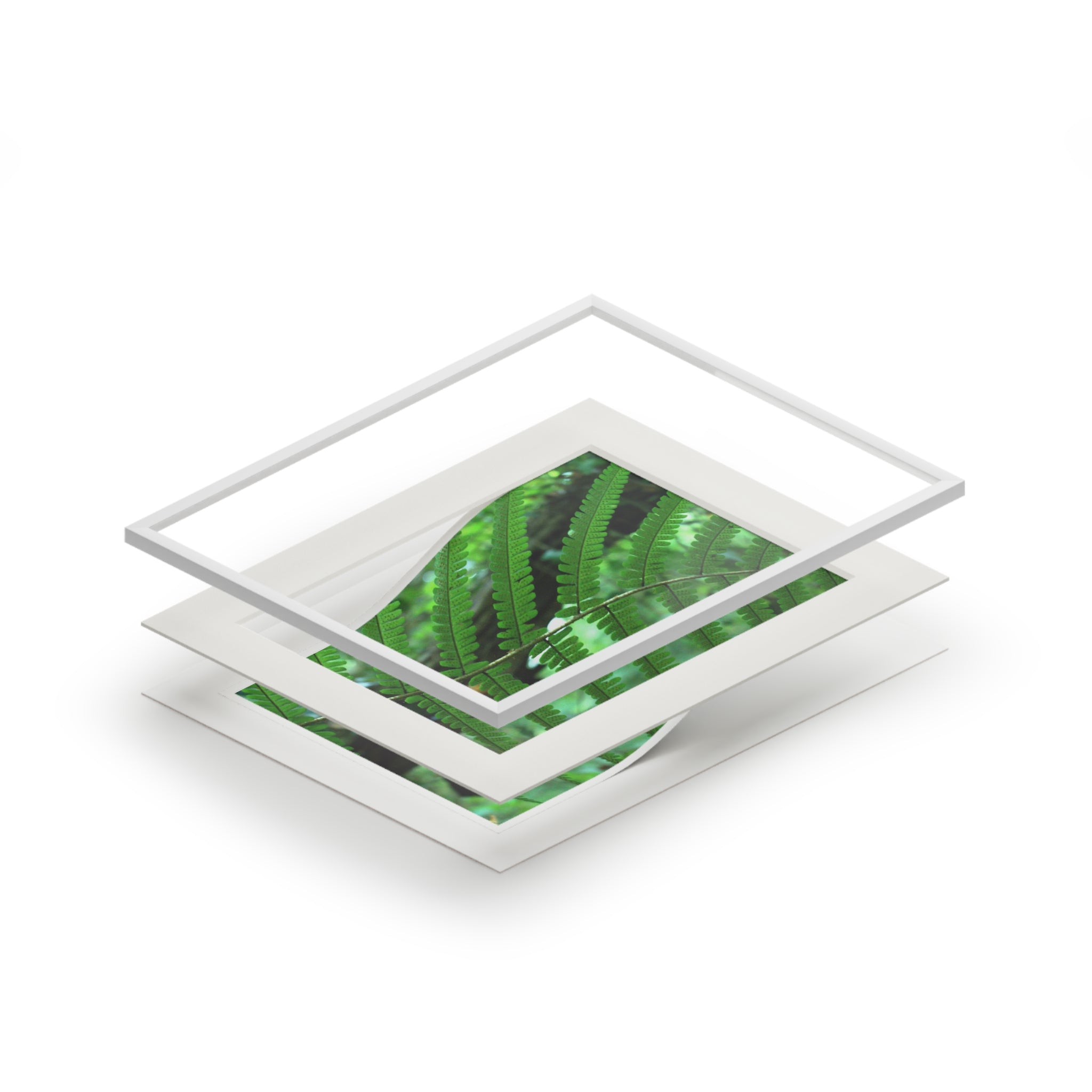 Alternate view of Green Fern Mounted Fine Art Print