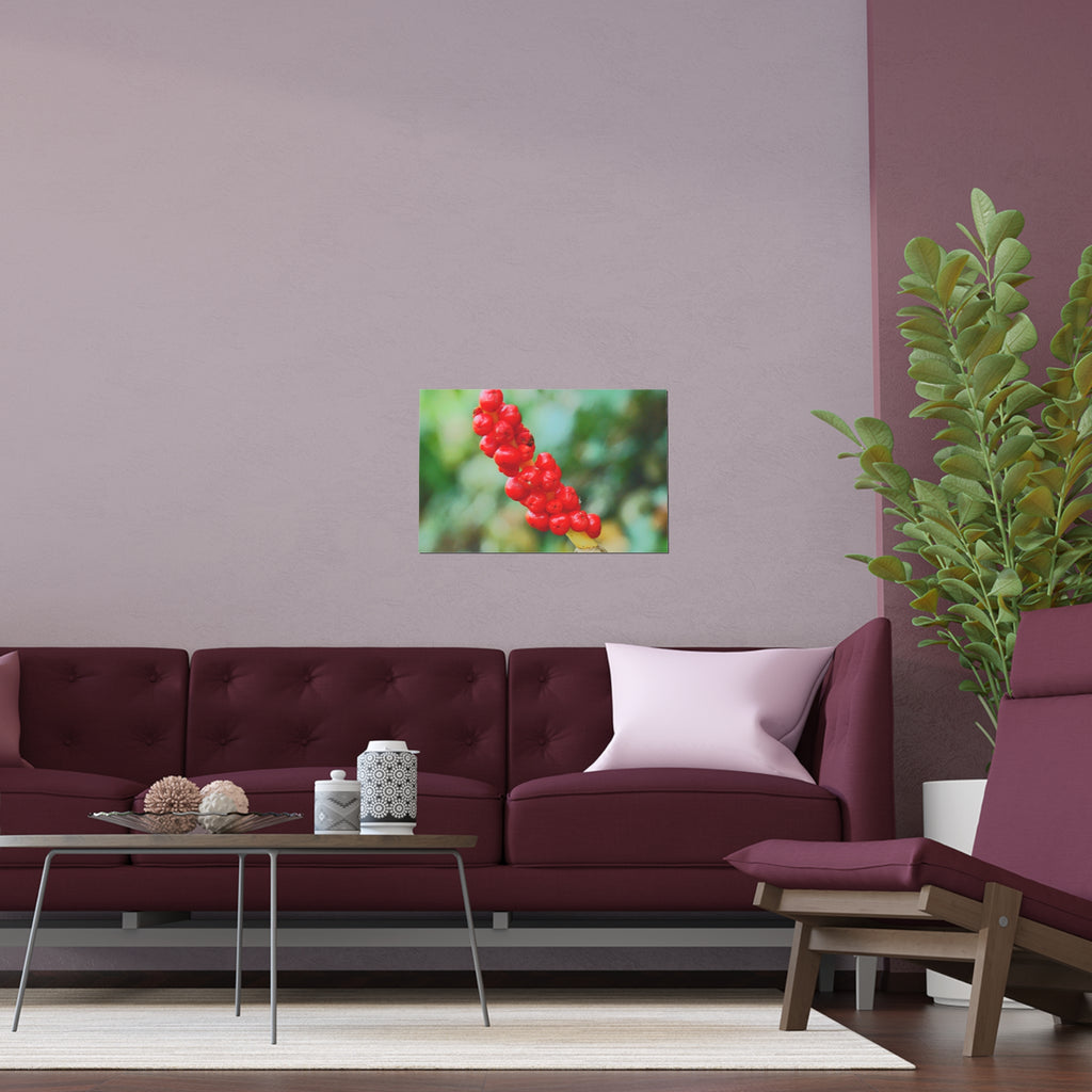 Red berry botanical nature photography silk poster — Nature Noticed