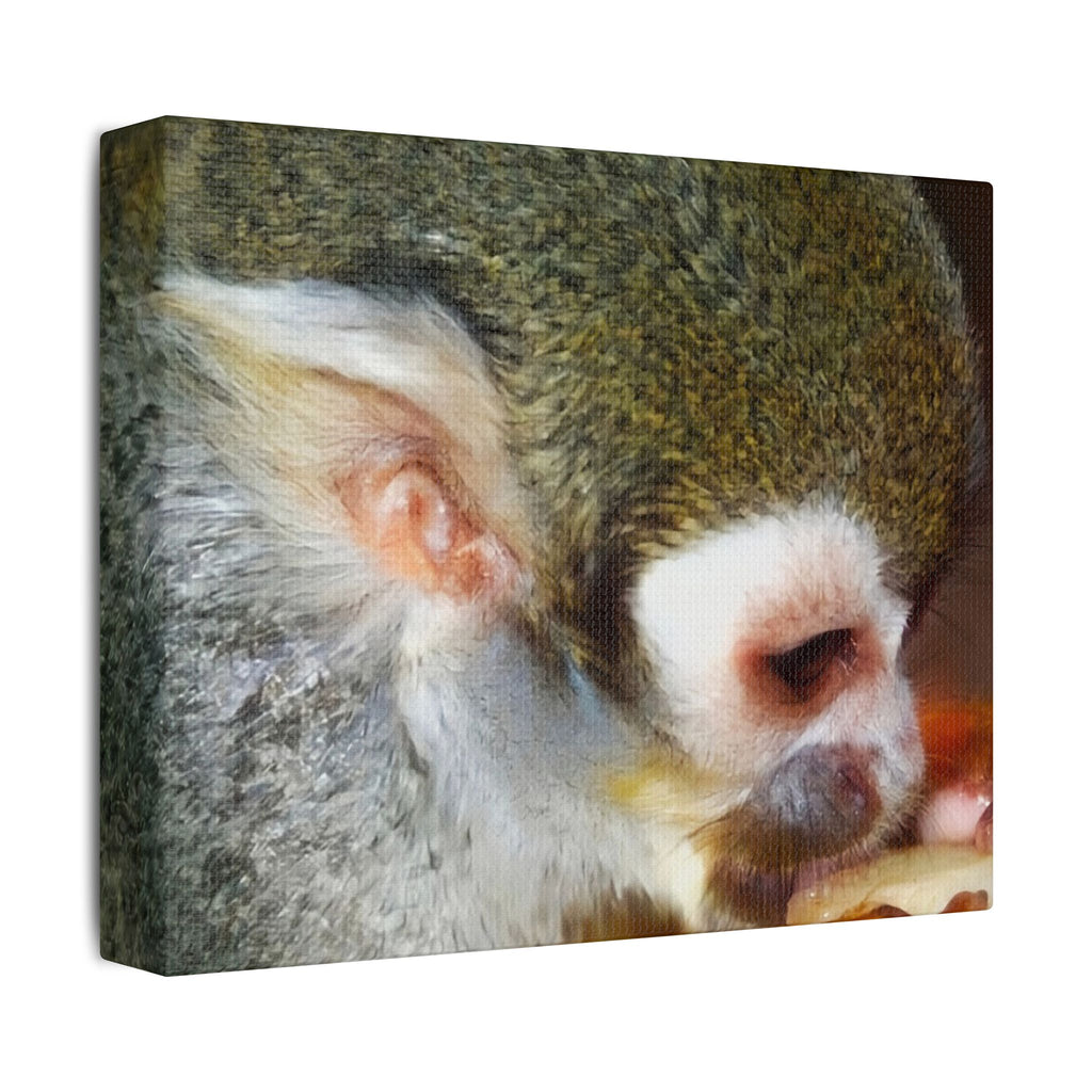 Wild Landscape Satin Stretched Canvas — Original Nature Photography