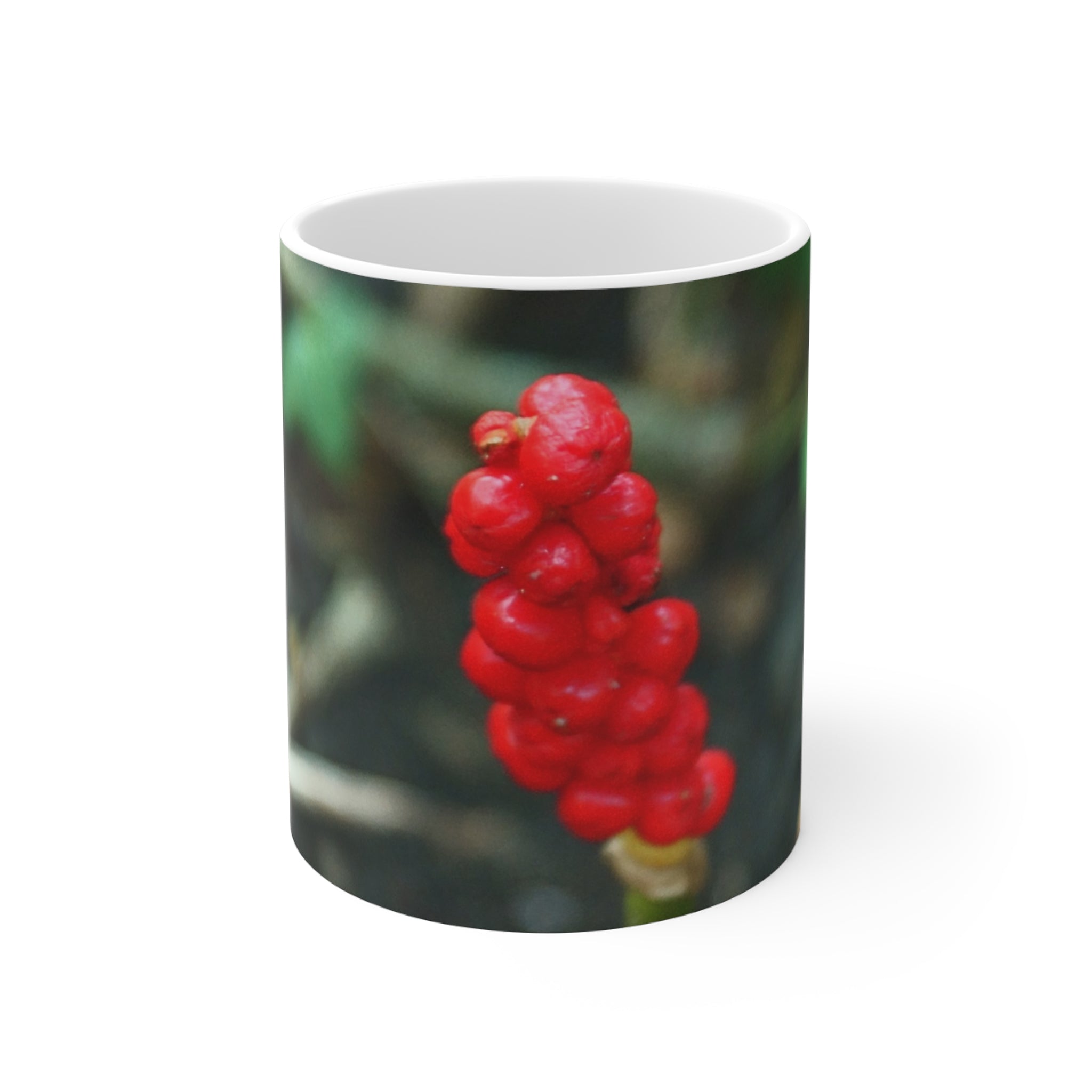 Red Berries Close-Up Photo Mug