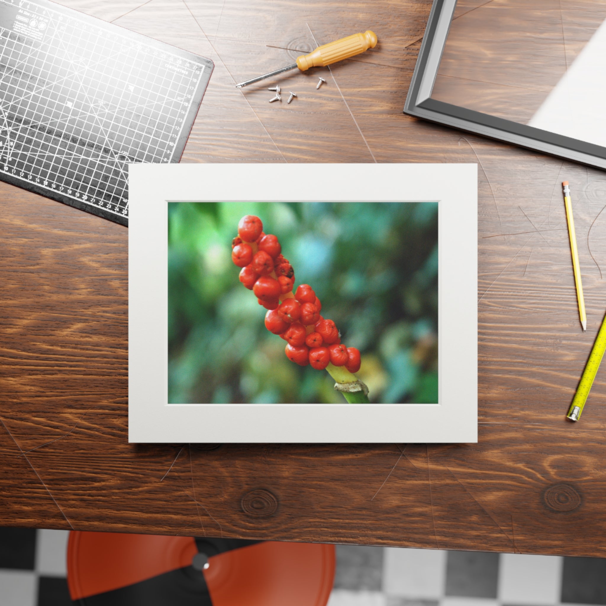Scarlet Berries Passepartout Fine Art Print — Original Botanical Photography