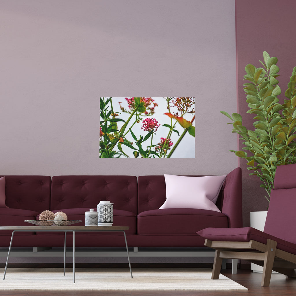 Pink wildflower nature photography silk poster — Nature Noticed