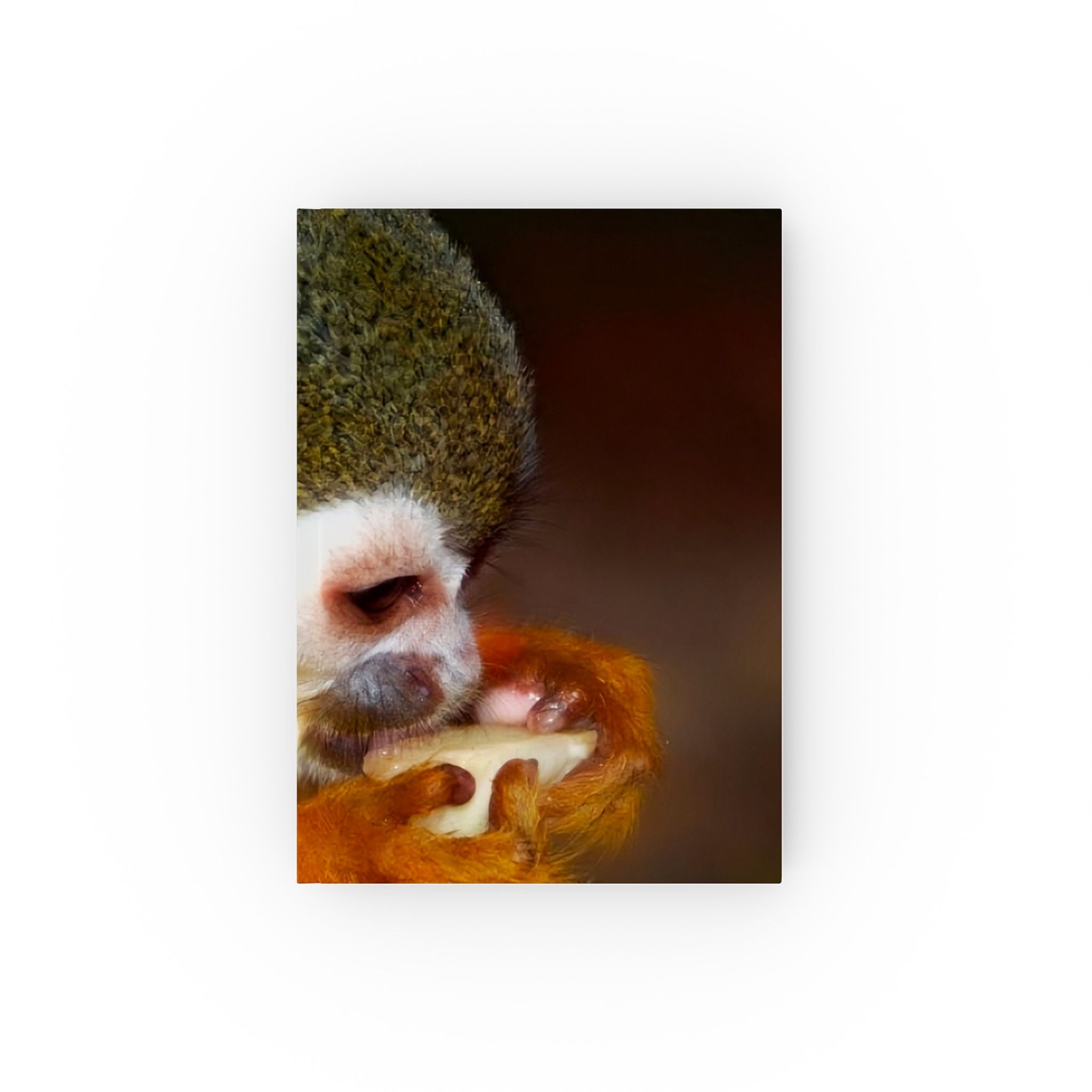 Wild Landscape hardback journal featuring original nature photography